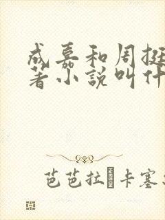成嘉和周挺阳原著小说叫什么