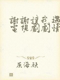 谢谢让我遇见你电视剧剧情