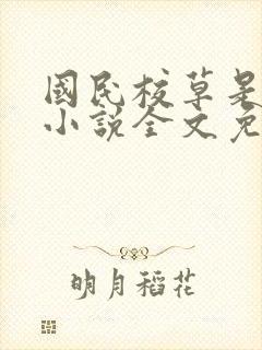 国民校草是女生小说全文免费阅读