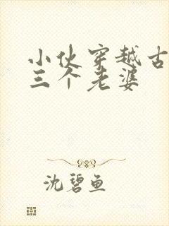 小伙穿越古代娶三个老婆