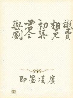 与君初相识电视剧全集免费西瓜