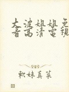 大波姐姐免费观看高清电视剧韩剧