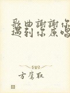 歌曲谢谢你让我遇到你原唱