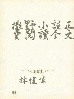 撒野小说正版免费阅读全文无删减