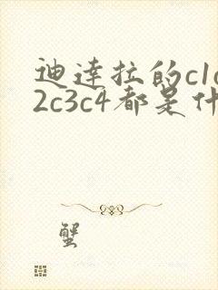 迪达拉的c1c2c3c4都是什么