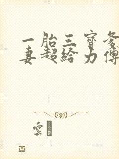 一胎三宝爹地宠妻超给力傅