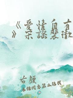 《爱情自有天意》宋谣裴彻大结局