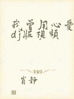 我曾用心爱着你dj版视频