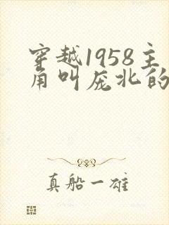 穿越1958主角叫庞北的小说