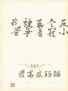 我被五个反派爸爸争着宠小说