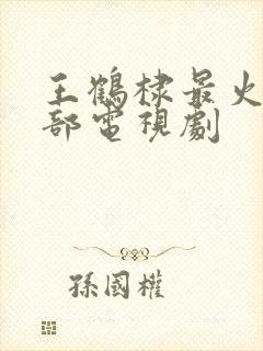 王鹤棣最火的十部电视剧