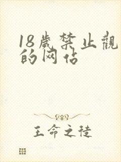 18岁禁止观看的网站