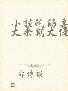 小说我的妻子是大乘期大佬免费