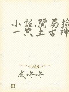 小说,开局捡到一只上古神兽