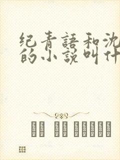 纪青语和沈聿风的小说叫什么名字