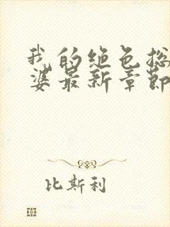 我的绝色总裁老婆最新章节