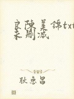 良陈美锦txt未删减