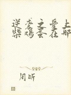 逆袭之爱上情敌柴鸡蛋在哪看小说