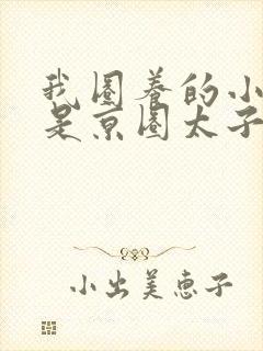 我圈养的小白脸是京圈太子爷短剧