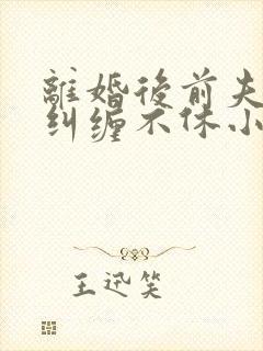 离婚后前夫老公纠缠不休小说