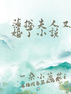 薄总夫人又提离婚了小说