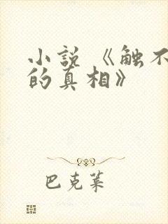 小说 《触不到的真相》