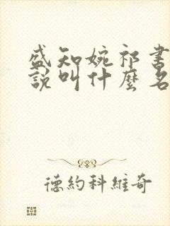 盛知婉祁书羡小说叫什么名字