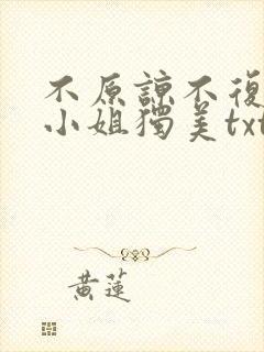 不原谅不复合苏小姐独美txt下载全本免费