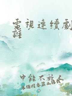 电视连续剧他是谁