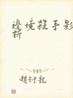 边境杀手影评解析