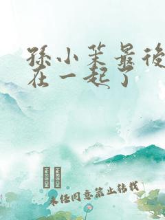 孙小茉最后和谁在一起了