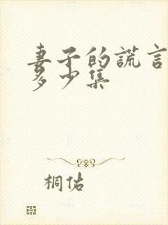 妻子的谎言共有多少集