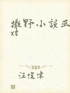 撒野小说巫哲txt