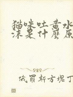 猫咪吐黄水带泡沫是什么原因