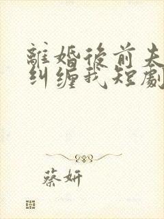 离婚后前夫总想纠缠我短剧完整版