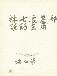 林七夜是哪本小说的主角