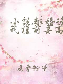 小说,离婚后,我让前妻高攀不起