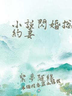 小说闪婚总裁契约妻