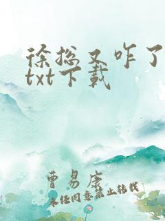 徐总又咋了全文txt下载
