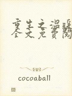 重生之温暖小说全文免费阅读