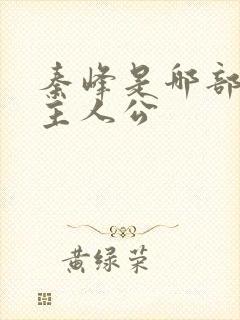 秦峰是哪部小说主人公