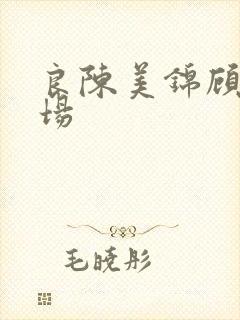 良陈美锦顾澜下场