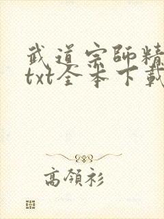 武道宗师精校版txt全本下载
