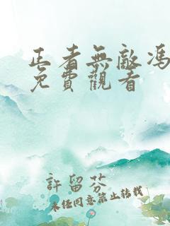 正者无敌冯天魁免费观看