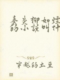 秦炎柳如烟萧凡的小说叫什么名字啊