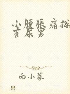 小腹胀痛总感觉有尿男