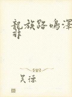 龙族路鸣泽路明非