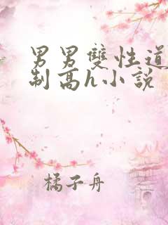 男男双性道具强制高h小说