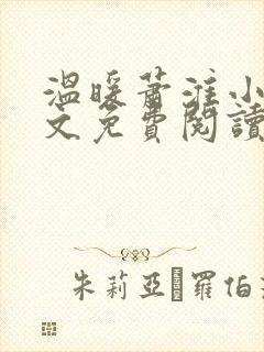 温暖萧淮小说全文免费阅读