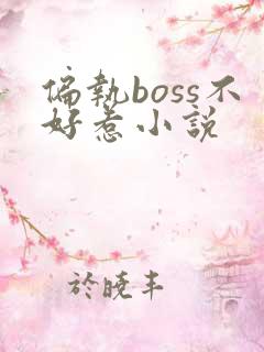 偏执boss不好惹小说